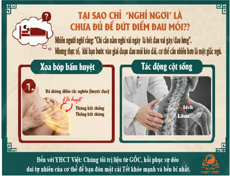 YHCT VIỆT
